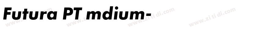 Futura PT mdium字体转换